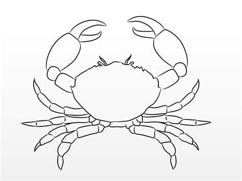 Crab Outline Vectors. . Crab drawing easy